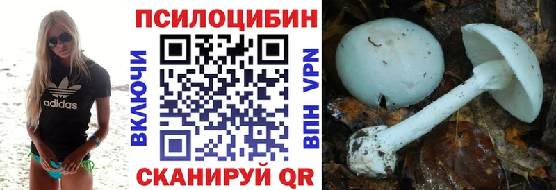 кракен ссылки  Невельск  Галлюциногенные грибы GOLDEN TEACHER 